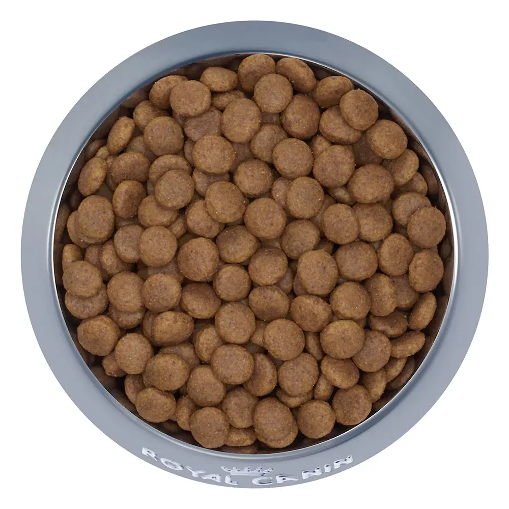 مدیوم ادالت رویال کنین _ Royal Canin Medium Adult