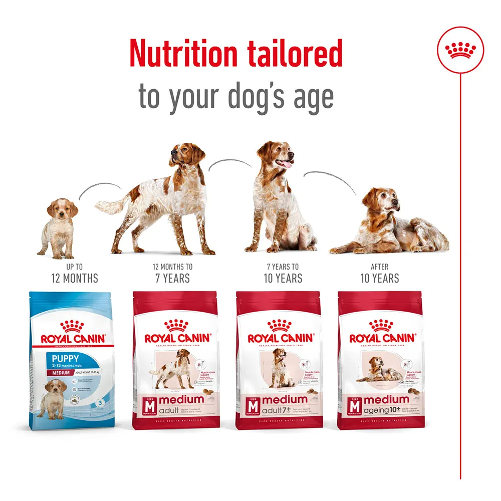 مدیوم ادالت رویال کنین _ Royal Canin Medium Adult