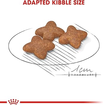 خرید و مشخصات غذا خشک رویال کنین مینی ادالت | royal canin mini adult