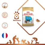 خرید و مشخصات غذا خشک توله سگ شیتزو پاپی رویال کنین | پاپی شیتزو رویال کنین