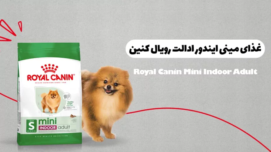 خرید | قیمت | مشخصات غذا خشک رویال کنین مینی ایندور