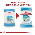 خرید ، قیمت ، مشخصات ایکس اسمال پاپی رویال کنین