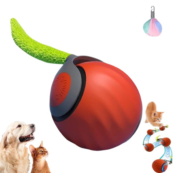 خرید و مشخصات توپ هوشمند دنباله دار