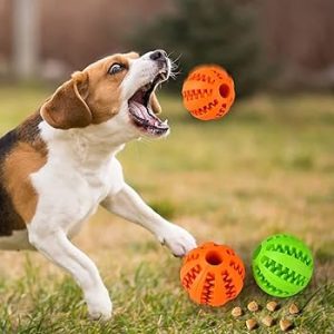 قیمت خرید و مشخصات انوع اسباب بازی برای سگ ها در پت شاپ لنداف هانا | dog-toy land of hana