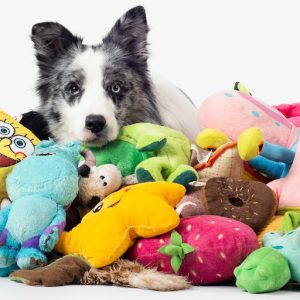 قیمت خرید و مشخصات انوع اسباب بازی برای سگ ها در پت شاپ لنداف هانا | dog-toy land of hana
