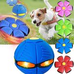 خرید ، قیمت و مشخصات توپ پرتابی | throwing ball