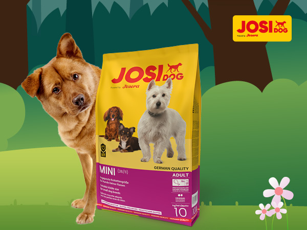 قیمت و مشخصات غذای خشک سگ نژاد کوچک جوسرا | Josera Mini Adult