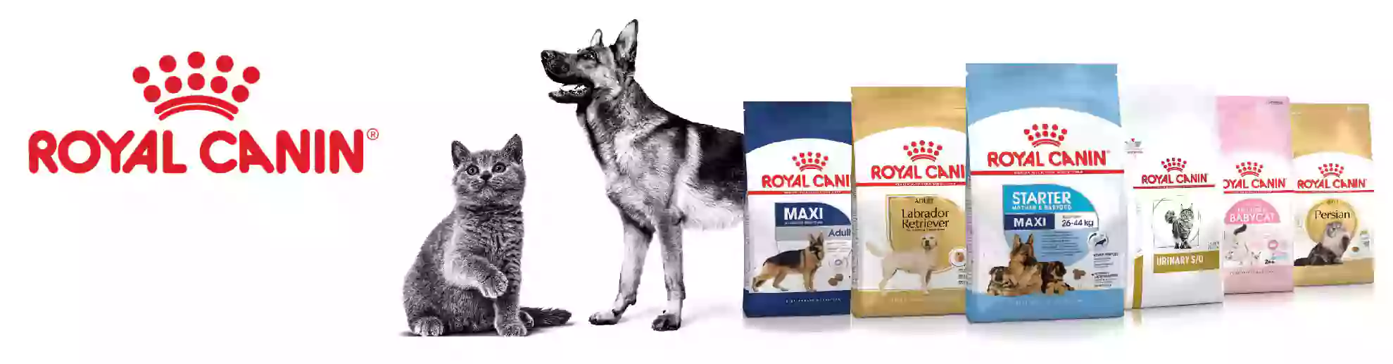 خرید محصولات برند رویال منین با لهترین قیمت از فروشگاه اینترنتی لنداف هانا | royal-canin