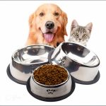 خرید ، قیمت و مشخصات انواع ظرف غذا و ظرف آب و قمقمه در سایت لنداف هانا با بهترین قیمت