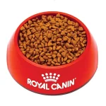 خرید و مشخصات غذا خشک مادر و فرزند رویال کنین از پت شاپ لنداف هانا | Mini Starter Mother & Babydog