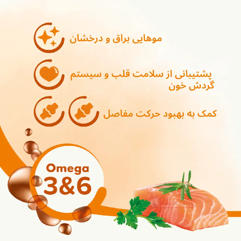 قیمت ، مشخصات و خرید روغن ماهی سگ و گربه پرشیا پت | Fish oil Pet Persia از پت شاپ لنداف هانا