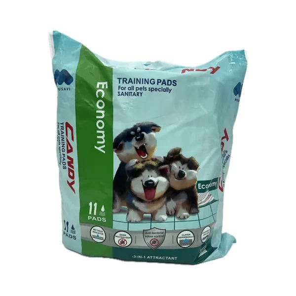 خرید ، قیمت و مشخصات پد ادرار اکونومی یازده عددی ، خرید از پت شاپ لنداف هانا