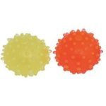 قیمت خرید و مشخصات توپ سگ | خرید از پت شاپ لنداف هانا