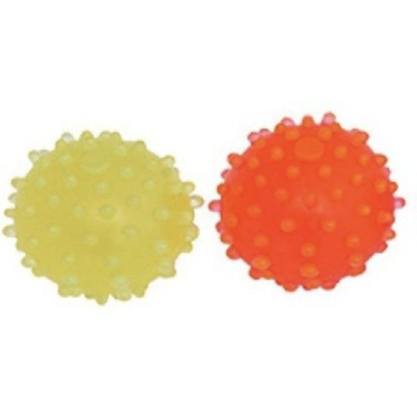 قیمت خرید و مشخصات توپ سگ | خرید از پت شاپ لنداف هانا