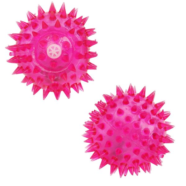 قیمت خرید و مشخصات توپ سگ | خرید از پت شاپ لنداف هانا