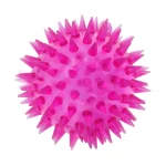 قیمت خرید و مشخصات توپ سگ | خرید از پت شاپ لنداف هانا