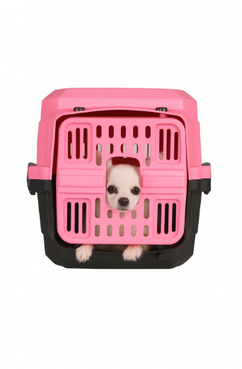 خرید ، قیمت و مشخصات باکس حمل سگ و گربه پاریس از پت شاپ لنداف هانا | Dog Travel Carrier