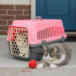 خرید ، قیمت و مشخصات باکس حمل سگ و گربه ژوپیتر از پت شاپ لنداف هانا | Dog Travel Carrier