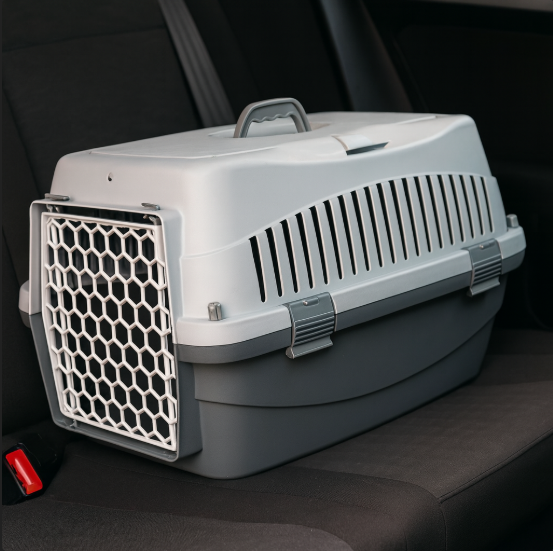 خرید ، قیمت و مشخصات باکس حمل سگ و گربه ژوپیتر از پت شاپ لنداف هانا | Dog Travel Carrier