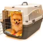 خرید ، قیمت و مشخصات باکس حمل سگ و گربه ژوپیتر از پت شاپ لنداف هانا | Dog Travel Carrier