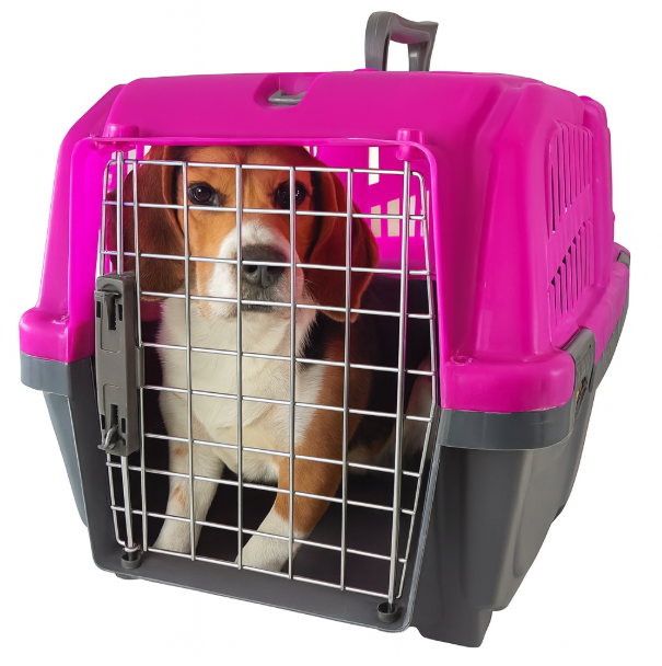 خرید ، قیمت و مشخصات باکس حمل سگ و گربه پانیتو از پت شاپ لنداف هانا | Dog Travel Carrier