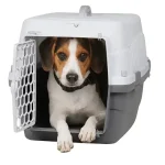 خرید ، قیمت و مشخصات باکس حمل سگ و گربه ژوپیتر از پت شاپ لنداف هانا | Dog Travel Carrier