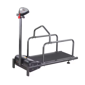 خرید ، قیمت و مشخصات تردمیل سگ های کوچک از پت شاپ لنداف هانا | Mini Walking Running Electric Animal Treadmill Dog