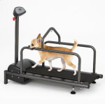 خرید ، قیمت و مشخصات تردمیل سگ های کوچک از پت شاپ لنداف هانا | Mini Walking Running Electric Animal Treadmill Dog