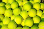قیمت خرید و مشخصات توپ تنیس سگ خرید از پتشاپ لنداف هانا dog tennis ball