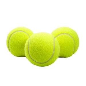 قیمت خرید و مشخصات توپ تنیس سگ خرید از پتشاپ لنداف هانا dog tennis ball