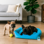 تشک حیوانات مدل شیلا خرید از پت شاپ لنداف هانا