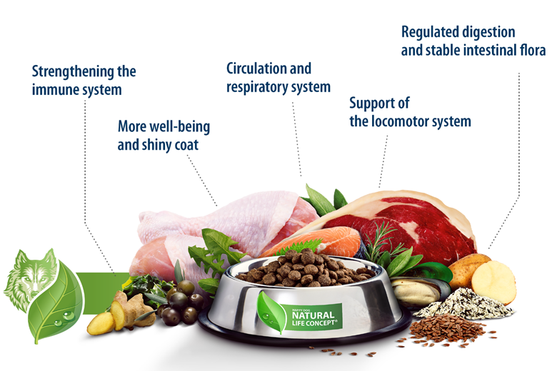 خرید قیمت و مشخصات غذای خشک سگ نیچر کراک بالانس هپی داگ از پت شاپ لنداف هانا | Happy dog naturcroq balance