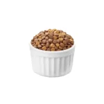 خرید ، قیمت و مشخصات غذا خشک ونپی از پت شاپ لنداف هانا | wanpy dry dog food