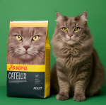 خرید ، قیمت و مشخصات غذا خشک گربه جوسرا کتلوکس از پت شاپ لنداف هانا | Josera Catelux dry cat food