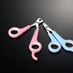 قسمت خرید و مشخصات ناخنگیر سگ و گربه | خرید از پت شاپ لنداف هانا