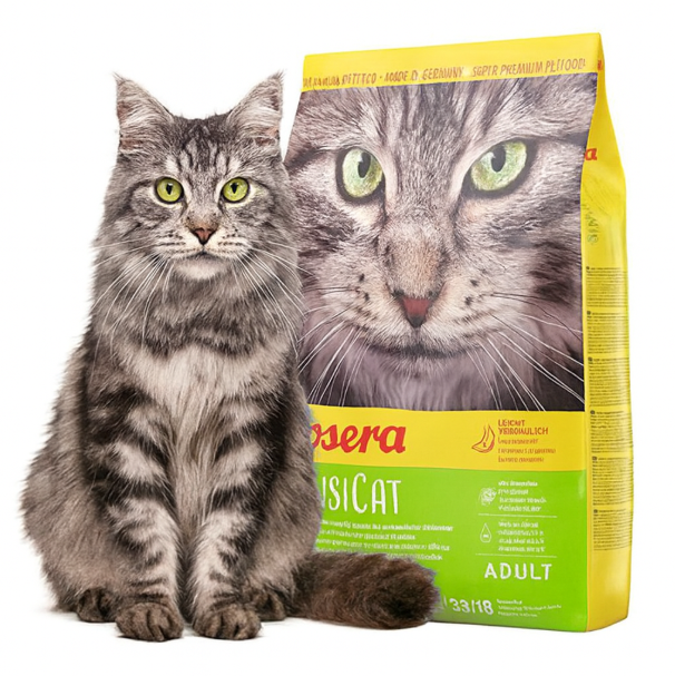 خرید ، قیمت و مشخصات غذای خشک گربه سنسی کت جوسرا از پت شاپ لنداف هانا | Dry cat food for treatment