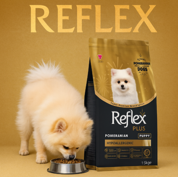 خرید ، قیمت و مشخصات غذا خشک رفلکس پبلاس|Reflex Plus Pomeranian Puppy Hypoallergenic
