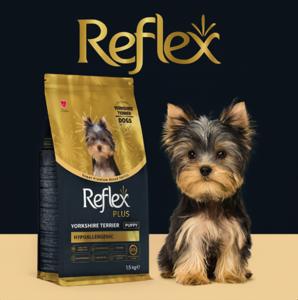 خرید ، قیمت و مشخصات غذای خشک سگ یورکشایر رفلکس پلاس از پت شاپ لنداف هانا | Reflex Plus Yorkshire Terrier Puppy Hypoallergenic Dry Dog Food