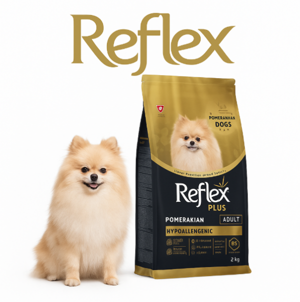 خرید ، قیمت و مشخصات غذا خشک رفلکس پبلاس|Reflex Plus Pomeranian Puppy Hypoallergenic