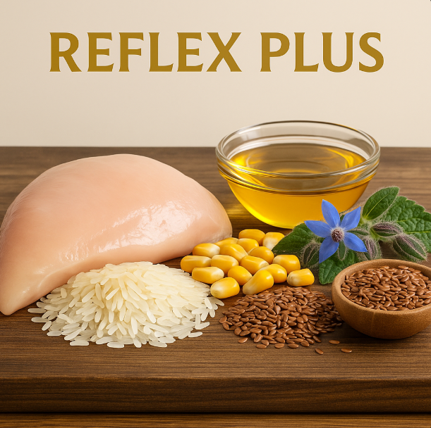 خرید ، قیمت و مشخصات غذا خشک رفلکس پبلاس|Reflex Plus Pomeranian Puppy Hypoallergenic