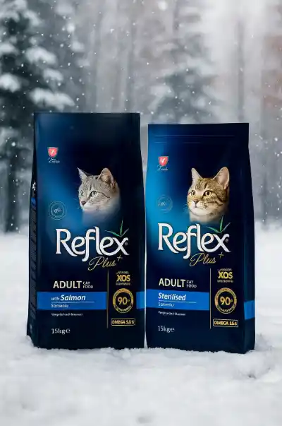 خرید قیمت و مشخصات غذا خشک گربه رفلکس پلاس از پت شاپ لنداف هانا | Reflex Plus Adult Cat Food with SalmonReflex Plus Adult Cat Food with Salmon