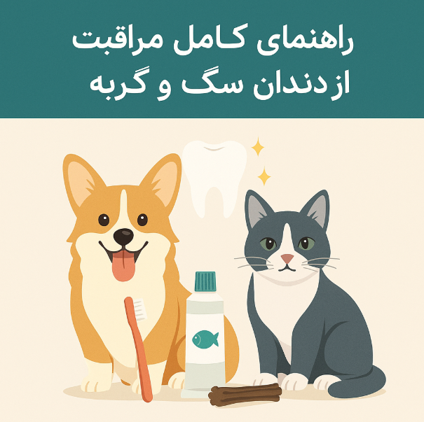 اهمیت بهداشت دهان و دندان حیوانات خانگی از پت شاپ لنداف هانا