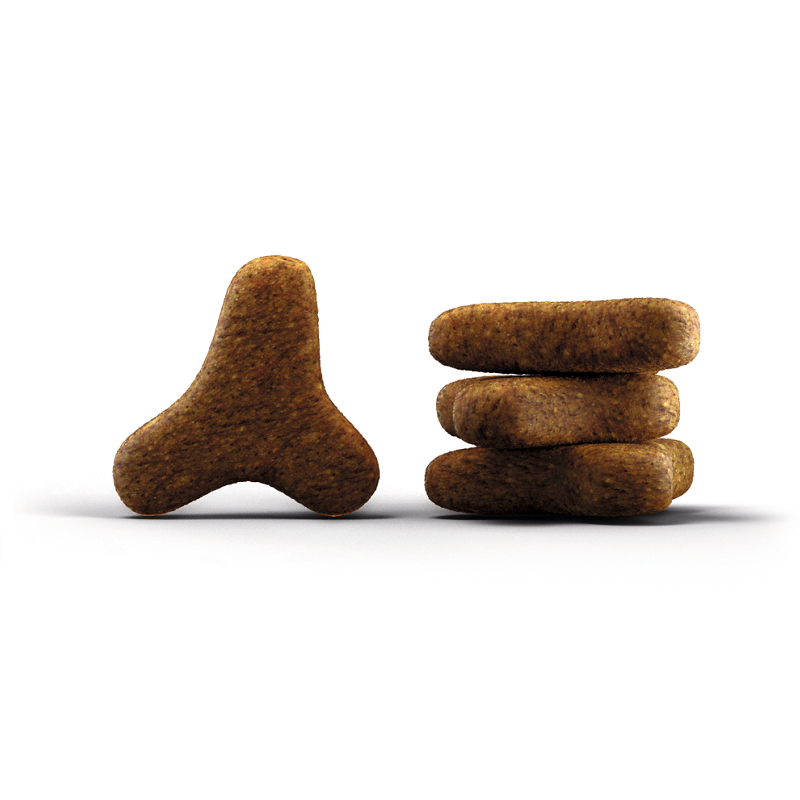 خرید ، قیمت و مشخصات غذا خشک گربه جوسرا کتلوکس از پت شاپ لنداف هانا | Josera Catelux dry cat food