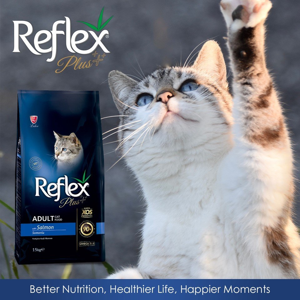 خرید قیمت و مشخصات غذا خشک گربه رفلکس پلاس از پت شاپ لنداف هانا | Reflex Plus Adult Cat Food with SalmonReflex Plus Adult Cat Food with Salmon