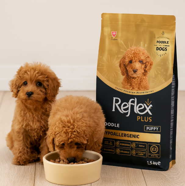 خرید ، قیمت و مشخصات غذا خشک سگ پودل رفلکس پلاس از پت شاپ لنداف هانا | Reflex Plus Poodle Puppy Hypoallergenic