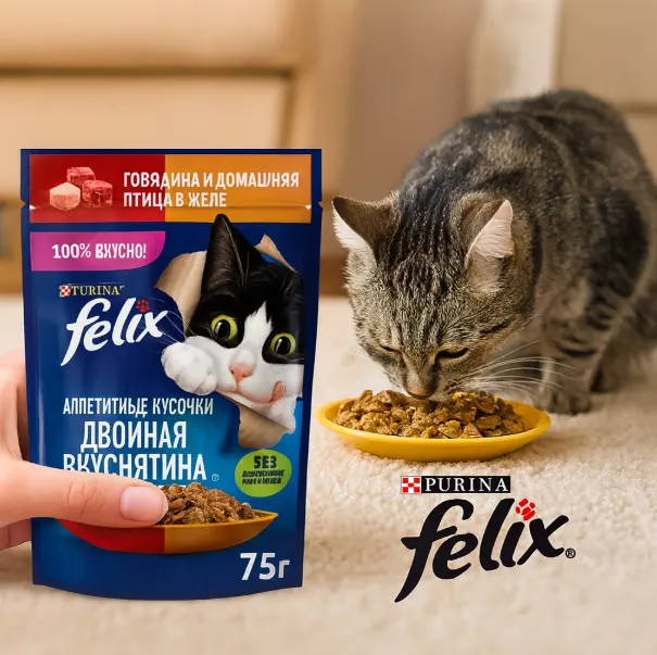خرید ، قیمت و مشخصات پوچ گربه فلیکس بوقلمون از پت شاپ لنداف هانا | Felix Turkey In Jelly