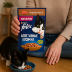 خرید ، قیمت و مشخصات پوچ گربه فلیکس بوقلمون از پت شاپ لنداف هانا | Felix Turkey In Jelly