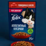 خرید ، قیمت و مشخصات پوچ گربه فلیکس گاو از پت شاپ لنداف هانا | Felix Turkey In Beef