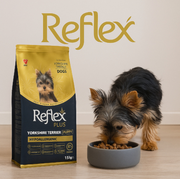 خرید ، قیمت و مشخصات غذای خشک سگ یورکشایر رفلکس پلاس از پت شاپ لنداف هانا | Reflex Plus Yorkshire Terrier Puppy Hypoallergenic Dry Dog Food