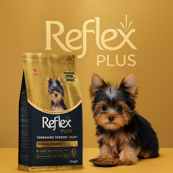 خرید ، قیمت و مشخصات غذای خشک سگ یورکشایر رفلکس پلاس از پت شاپ لنداف هانا | Reflex Plus Yorkshire Terrier Puppy Hypoallergenic Dry Dog Food